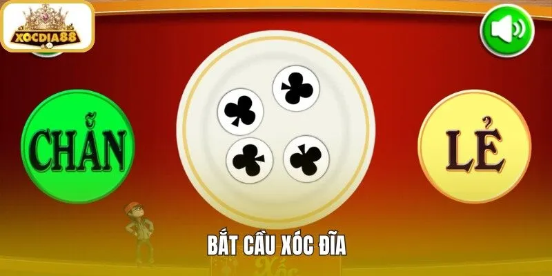 Bắt Cầu Xóc Đĩa - Đọc Nhịp Và Quản Lý Vốn Xocdia88