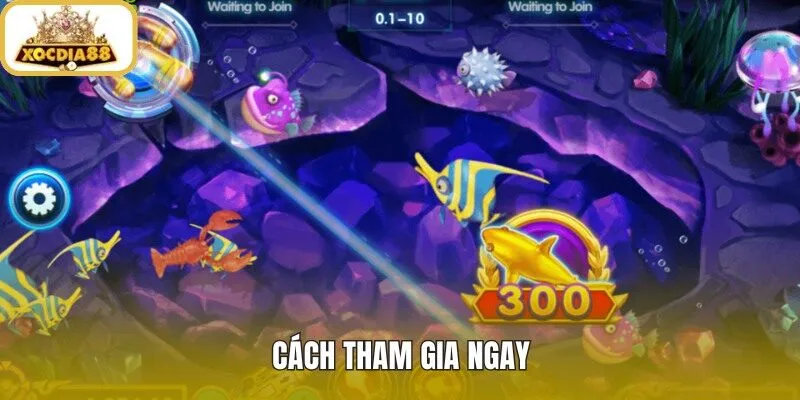 Bắn cá nổ hũ qua quy trình vào game gọn