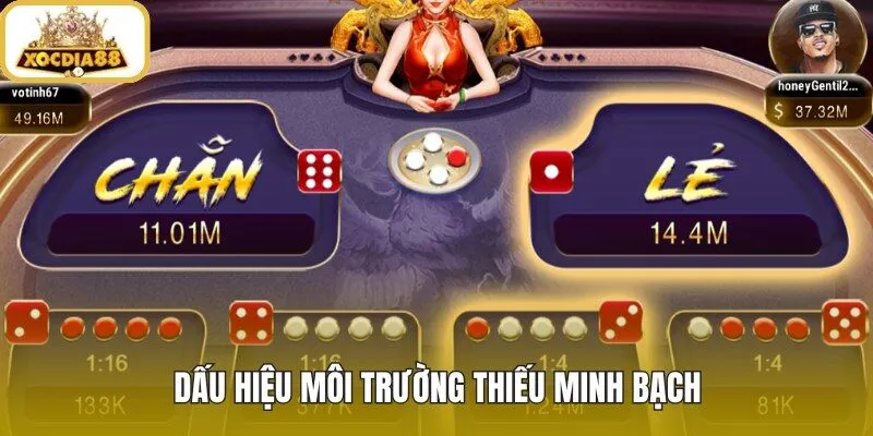 Xóc Đĩa bịp qua quy trình mờ và lời hứa chắc