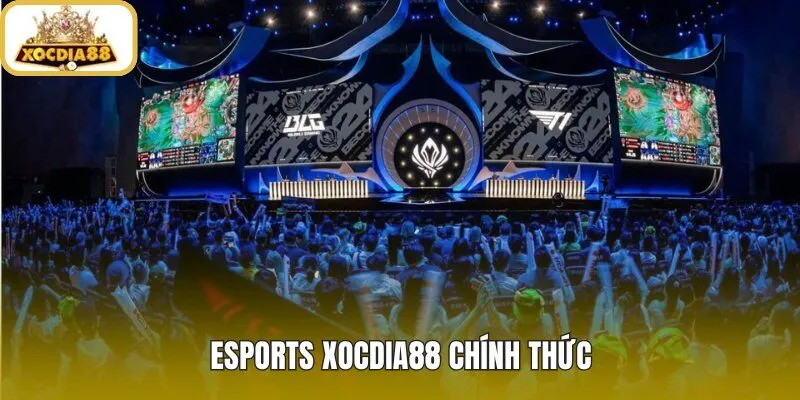 Esports xocdia88 với kênh truy cập chuẩn và đăng nhập nhanh