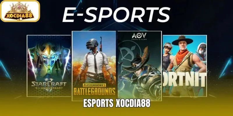 Esports Xocdia88