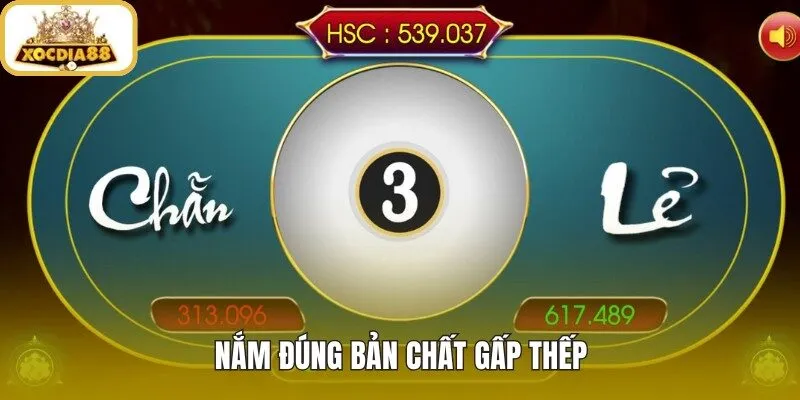 Xóc đĩa gấp thếp và nền tảng đi tiền rõ ràng