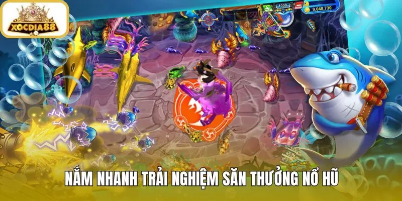 Bắn cá nổ hũ và nhịp săn jackpot dễ nhập cuộc